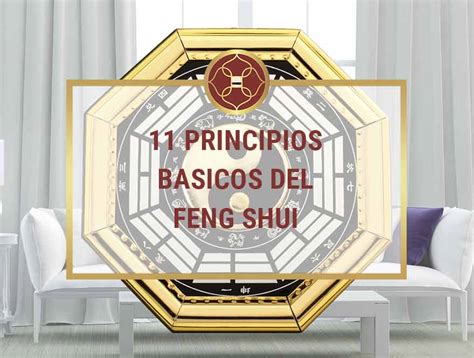 Principios B Sicos Del Feng Shui Para Mejorar Tu Vida