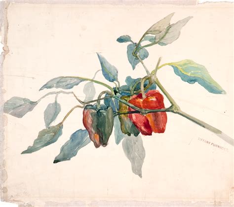 Bell Peppers The Charles Hosmer Morse Museum Of American Art