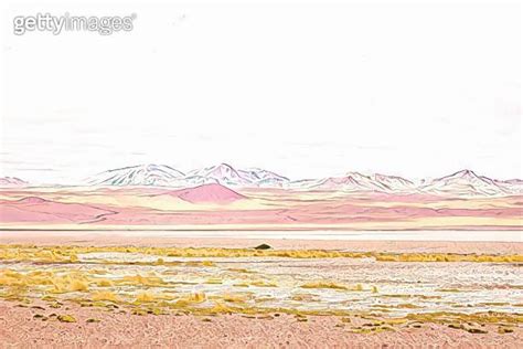 Impressive Laguna Colorada Red Lake Reflection Andean Flamingos