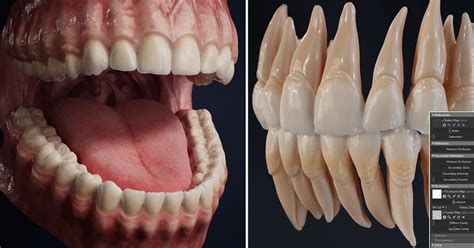 Teeth Texture