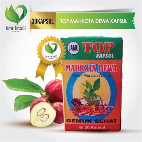 HERBAL KAPSUL GEMUK BADAN GEMUK SEHAT TOP MAHKOTA DEWA 1Box Shopee