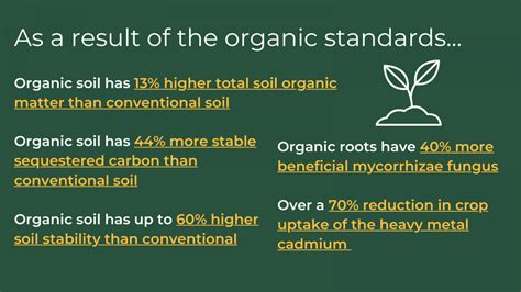 Sustainability | The Organic Center