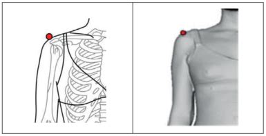 Iso En Size Designation Of Clothes Part