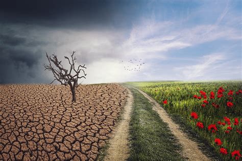 Impacto Del Cambio Climatico En La Agricultura Cómo Adaptarnos Al