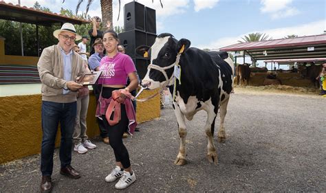 El Cabildo Concede 327 000 Euros En Ayudas Para Mejorar Las Condiciones