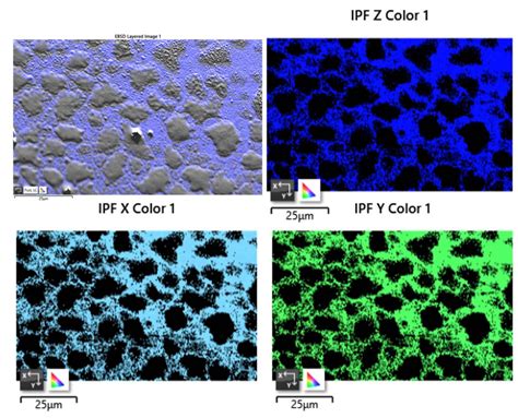 Cryo Fib Sem Across The Disciplines Research Resources Center