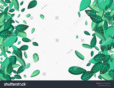 Vektor Stok Swamp Greens Flying Vector Transparent Background Tanpa