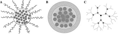 Schematic Diagram Showing Various Nano Delivery Systems A Polymicelles