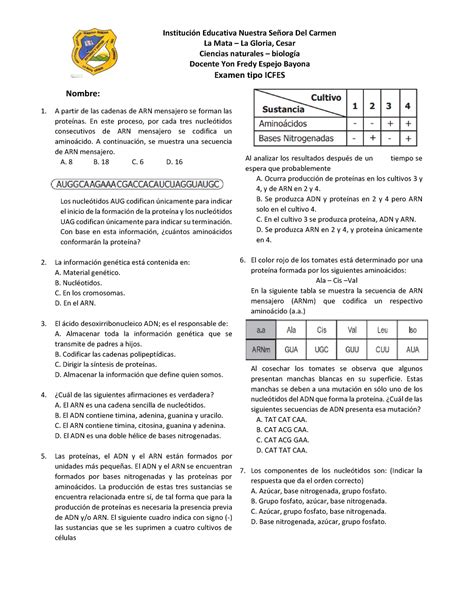 Examen Tipo Icfes Matematicas Periodo Nbkomputer