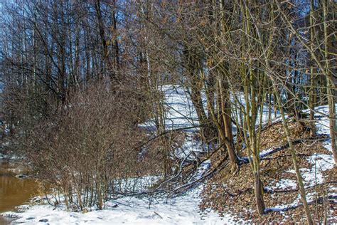 Fotos Gratis Im Genes Nieve Paisaje Natural Rama Ramita El