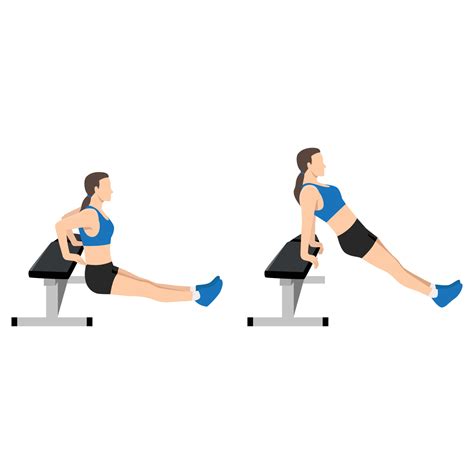 Woman Doing Bench Tricep Dips Exercise Flat Vector Illustration