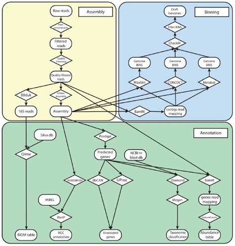 易基因｜science：宏基因组测序揭示病原菌介导植物内生菌群抑病功能激活 深圳市易基因科技 博客园