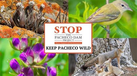 Petition · No EPA Funding for Destructive New Dam on Pacheco Pass ...