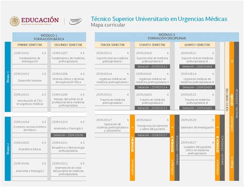 Técnico Superior Universitario en Urgencias Médicas