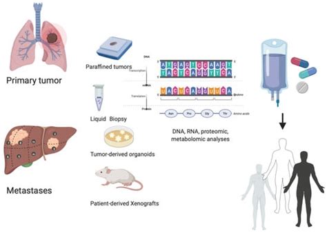 Cancers Free Full Text Personalized Medicine Recent Progress In Cancer Therapy