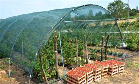 Indonet Ure Nursery Shade Net At Rs In Vadodara Id