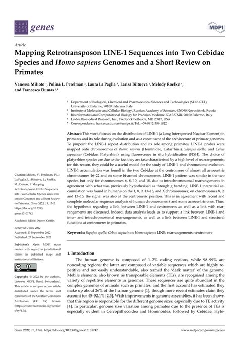 (PDF) Mapping Retrotransposon LINE-1 Sequences into Two Cebidae Species and Homo sapiens Genomes ...