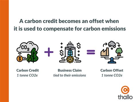 The Price Of Carbon Credits An Overview Thallo