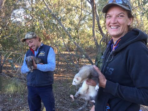 Managing Pests And Weeds In Yass — Nsw Landcare Gateway