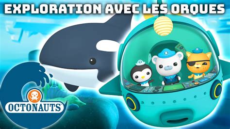 Octonauts 🤿 Exploration Avec Les Orques 🐳 Compilation Dessins Animés Pour Enfants Youtube