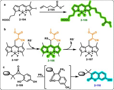 Fluorogenic Reactions In Chemical Biology Seeing Chemistry In Cells