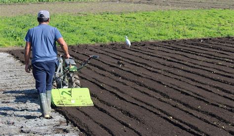 Llaman a agricultores de la región del Biobío a postular al programa de