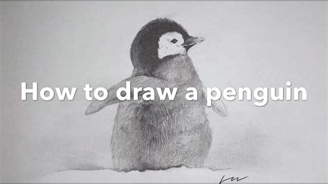 How To Draw A Penguin Realistic Pencil Drawing Youtube