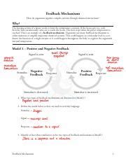 Feedback Mechanism Worksheet Prntbl Concejomunicipaldechinu Gov Co