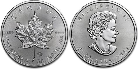 Kanada Dollar Royal Canadian Mint Maple Leaf Oz Silberm Nze