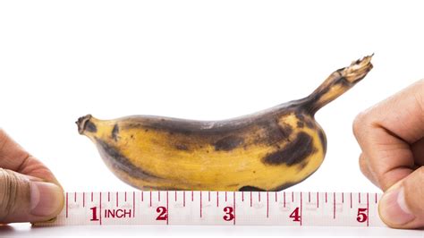 Penis Size Guide How Does Your Member Measure Up Huffpost Uk Life