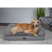 Wayfair | Dog Beds You'll Love in 2022