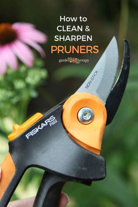 How To Care For Garden Pruners Garden Therapy