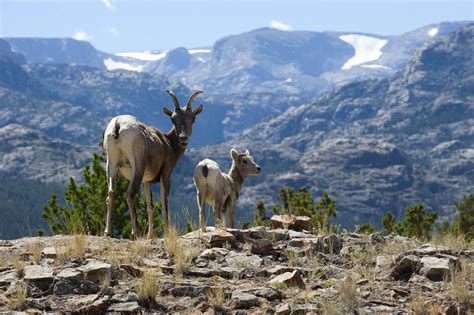 How to Backpack in the Wind River Range, Wyoming