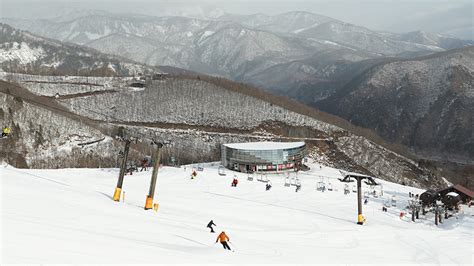 白馬八方尾根スキー場リフト券付きスキーツアー｜パウダースノー＆絶景を楽しむスキーヤーの聖地日帰り・宿泊スキー＆スノボツアー