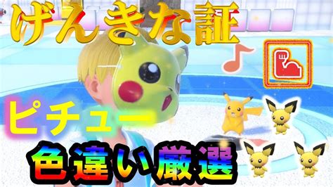 【ポケモンsv】イースターイベント！色違いピチューのげんきな証持ち厳選！！かなり難しい、、、ポケモン ピチュー ピカチュウ 色違い