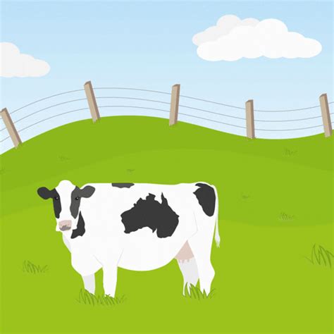 Cow Farts GIFs - Find & Share on GIPHY