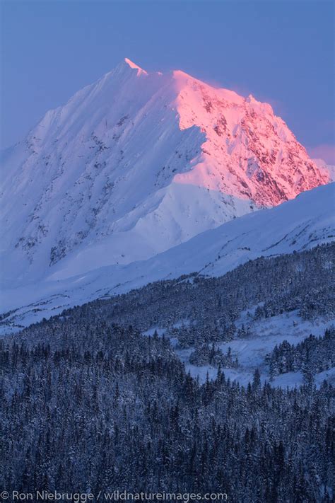 Alaska winter. | Photos by Ron Niebrugge