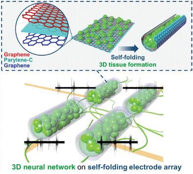 D Advanced Functional Materials X Mol