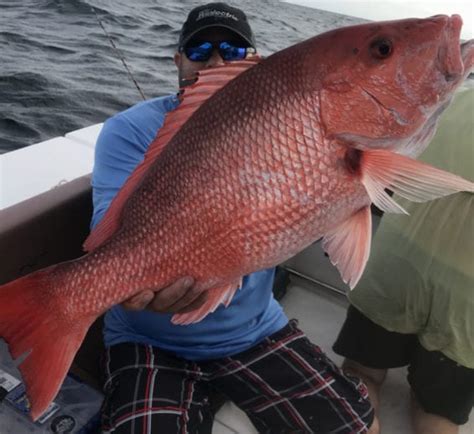 The Gps Coordinates For Every Artificial Reef In South Carolina