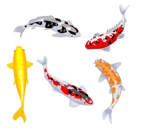 Logo Minimalista Realista De Peces Koi Vector Premium