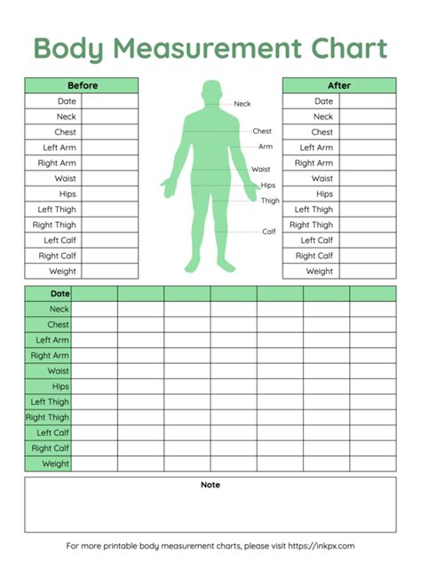 Printable Colorful Guided Table Style Body Measurement Chart For Male · Inkpx