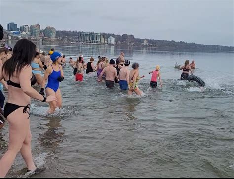 Video Dippers Take Chilly Plunge Into Kempenfelt Bay Barrie News