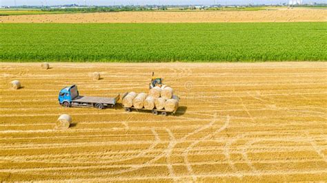 Above View Of Agricultural Field Collecting Round Bales Of Straw Stock