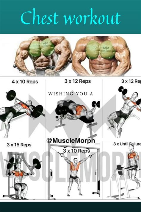 10 best chest workout exercises for building muscle – Artofit