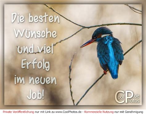 CoolPhotos de besten Wünsche und viel Erfolg im neuen Job