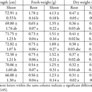 Root And Shoot Length Dry Weight And Root Shoot Ratio Of Rice