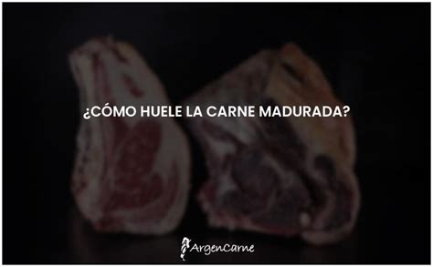 El Inigualable Aroma De La Carne Madurada Argencarne