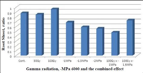 The Combined Effect Between Gamma Radiation And Osmotic Potential Peg