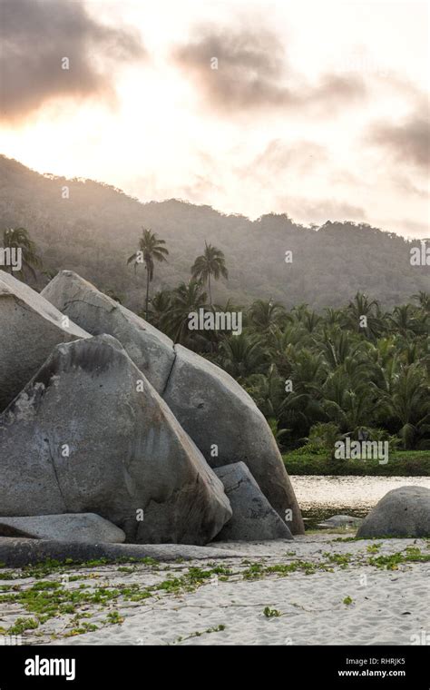 Beach in the parque Tayrona Stock Photo - Alamy