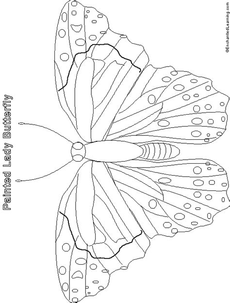 Learn How To Draw A Butterfly Easy Coloring Pages For